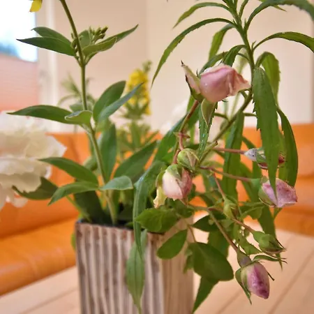 Spacious Holiday In With Garden * Rerik